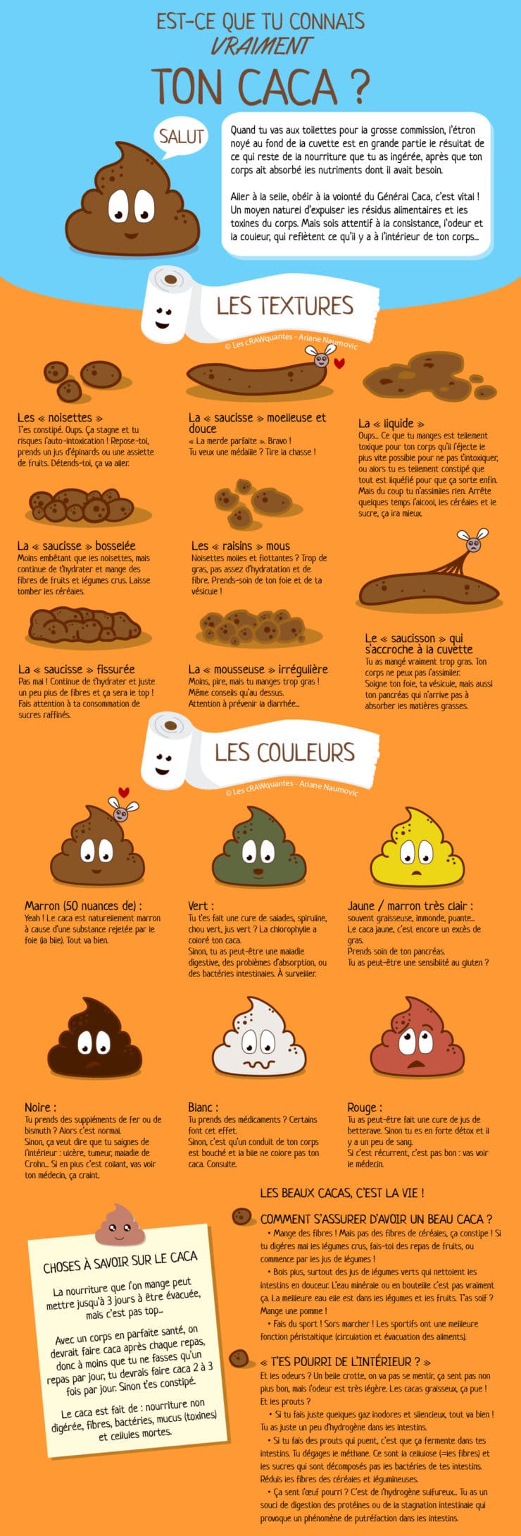 Connais-tu vraiment ton caca ? - Infographie • Les cRAWquantes